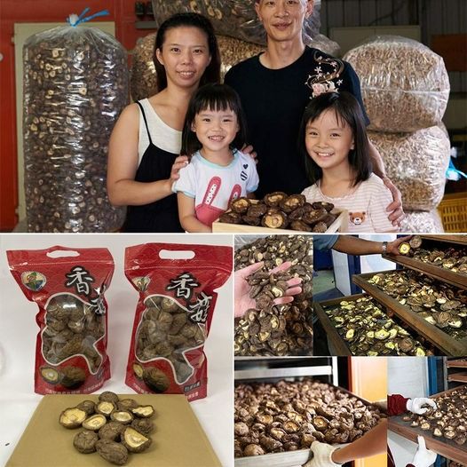 【阿亮香菇園】採摘園自產自銷，精品香菇乾！人工採摘烘乾！每一朵都超大顆！