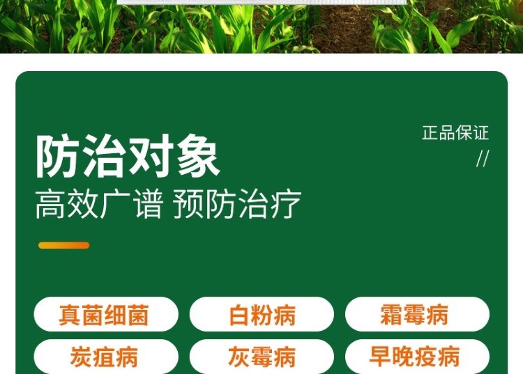 1704714907859110.jpg 5_20230925151656_581.jpg