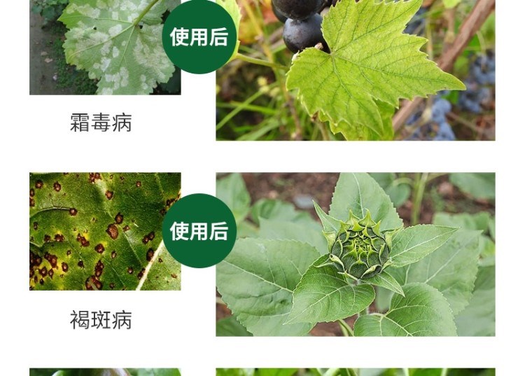 1704714933452261.jpg 9_20230925151701_767.jpg