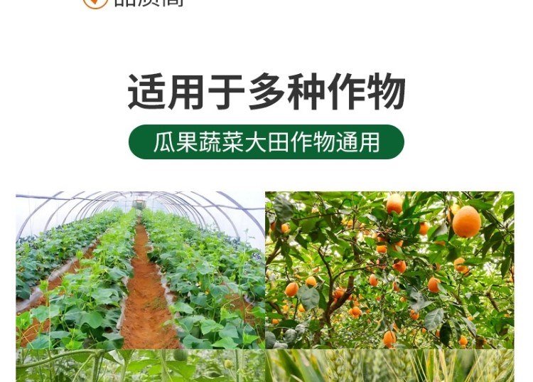 1704714984198554.jpg 15_20230925151708_289.jpg