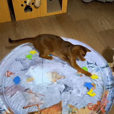 1718695561196581.gif 1.gif