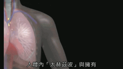 1718855245640072.gif 1.gif