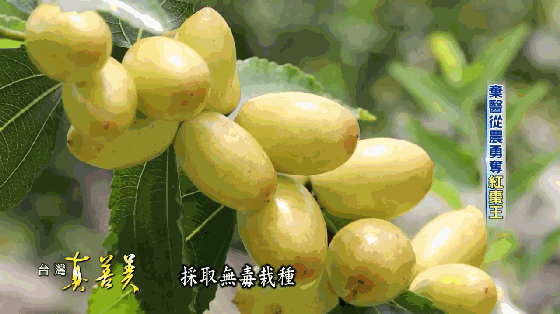 1727772241201726.gif a4738e23b4e1fca5cd2ae22a7779dd48.gif